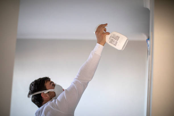 Best Industrial Mold Remediation in Onset, MA